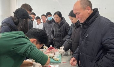 "Step into the future: schoolchildren got acquainted with the world of medicine"