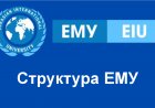 Структура ЕМУ
