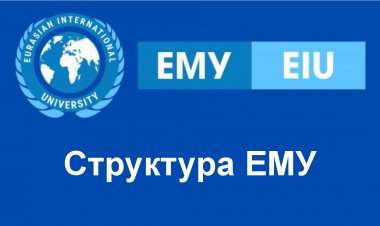 Структура ЕМУ